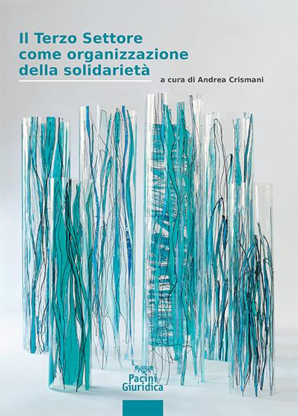 Il terzo settore come organizzazione della solidarietà - copertina