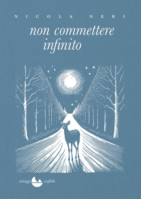 Non commettere infinito - Nicola Neri - copertina