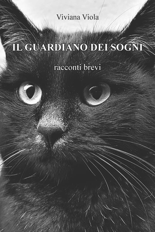 Il guardiano dei sogni - Viviana Viola - copertina
