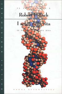 Spaziomedia