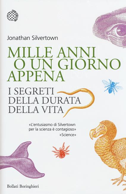 Mille anni o un giorno appena. I segreti della durata della vita - Jonathan Silvertown - copertina