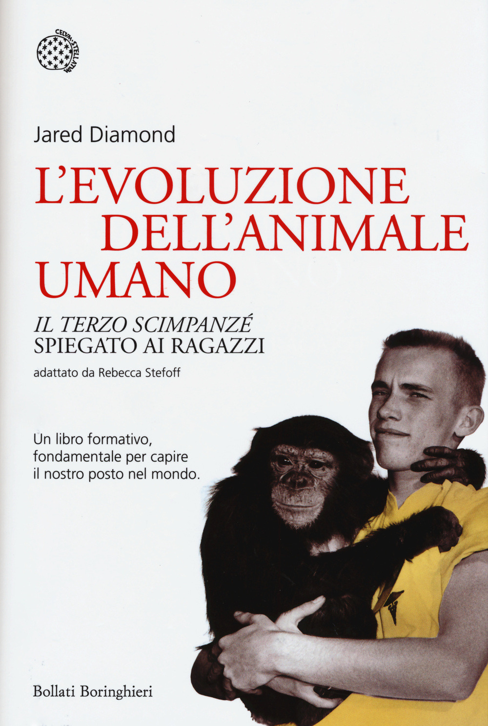 Biblioteca di Babele