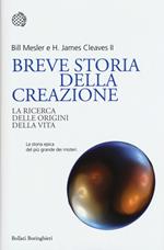 Breve storia della creazione. La ricerca delle origini della vita