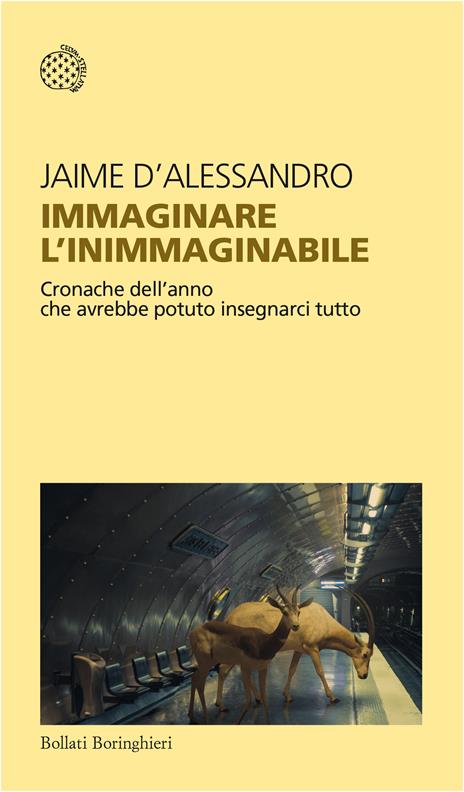 Immaginare l'inimmaginabile. Cronache dell'anno che avrebbe potuto insegnarci tutto - Jaime D'Alessandro - copertina