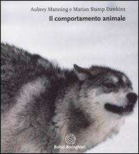 LETTORILETTO