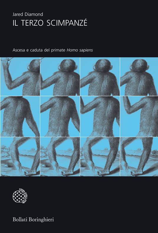 Il terzo scimpanzé. Ascesa e caduta del primate homo sapiens - Jared Diamond,Libero Sosio - ebook