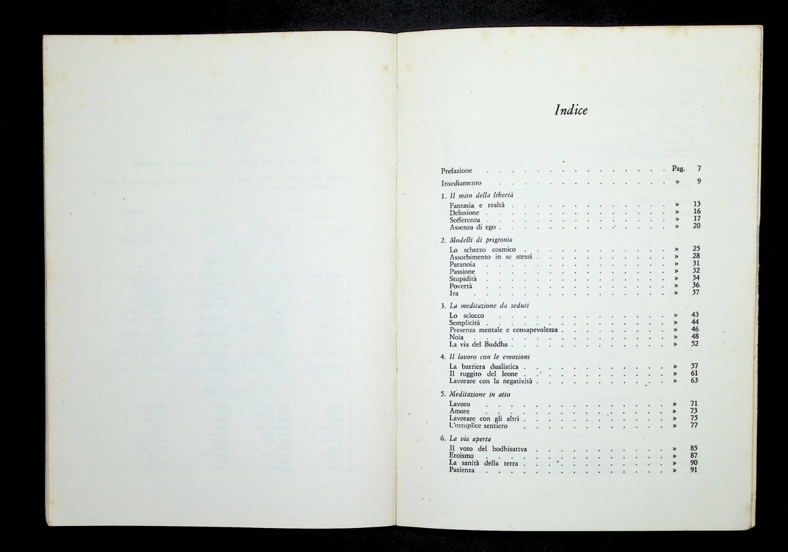 Il mito della libertà e la via della meditazione