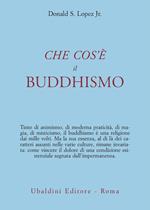 Che cos'è il Buddhismo