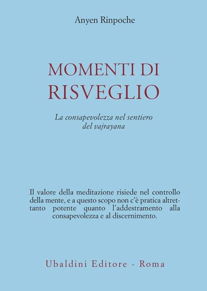 Momenti di risveglio. La consapevolezza nel sentiero del vajrayana - Anyen (Rinpoche) - copertina