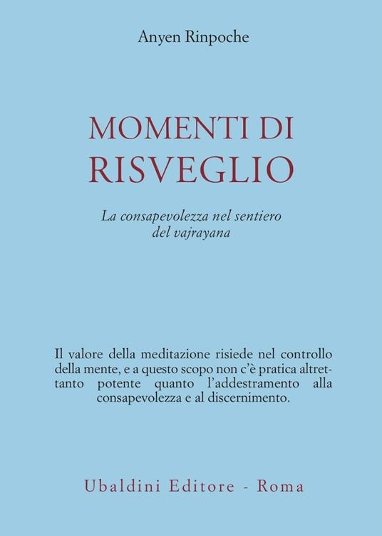Momenti di risveglio. La consapevolezza nel sentiero del vajrayana - Anyen (Rinpoche) - copertina