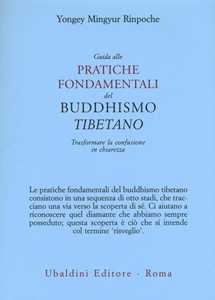 Guida alle pratiche fondamentali del buddhismo tibetano. Trasformare la confusione in chiarezza