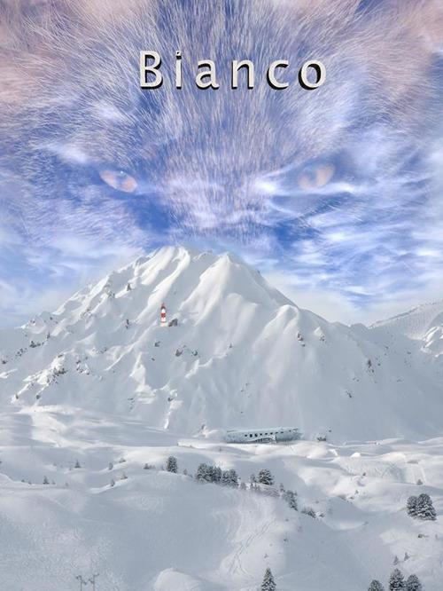 Bianco - Vincenzo Guido - ebook