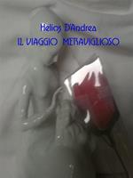 Il viaggio meraviglioso