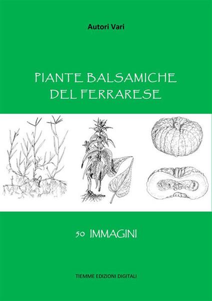 Piante balsamiche del ferrarese - Autori vari - ebook