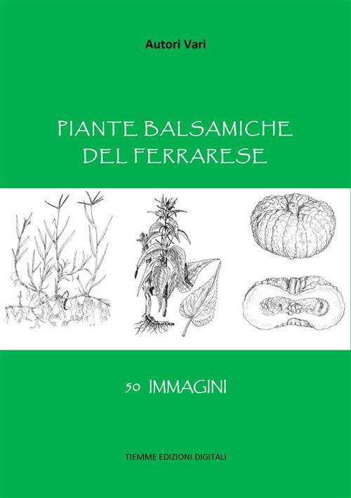 Piante balsamiche del ferrarese - Autori vari - ebook