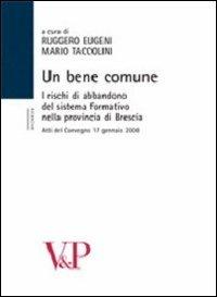 Un bene comune. I rischi di abbandono del sistema formativo nella provincia. Atti del Convegno (Brescia, 17 gennaio 2008) - copertina