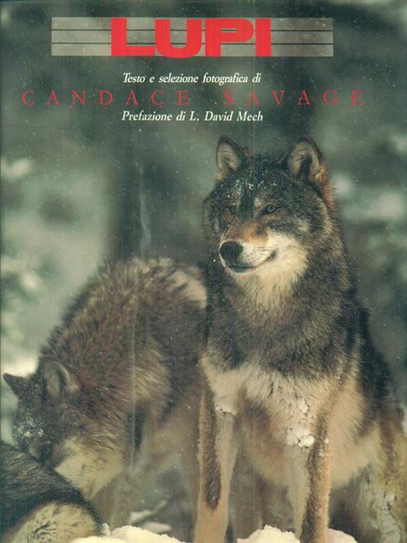 Libreria Internazionale Romagnosi snc