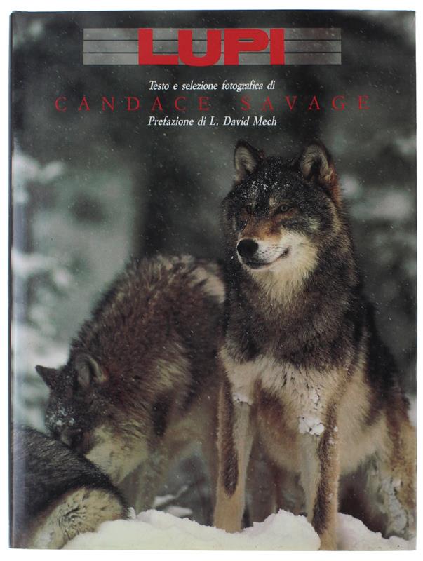 Bergoglio Libri d'Epoca Snc