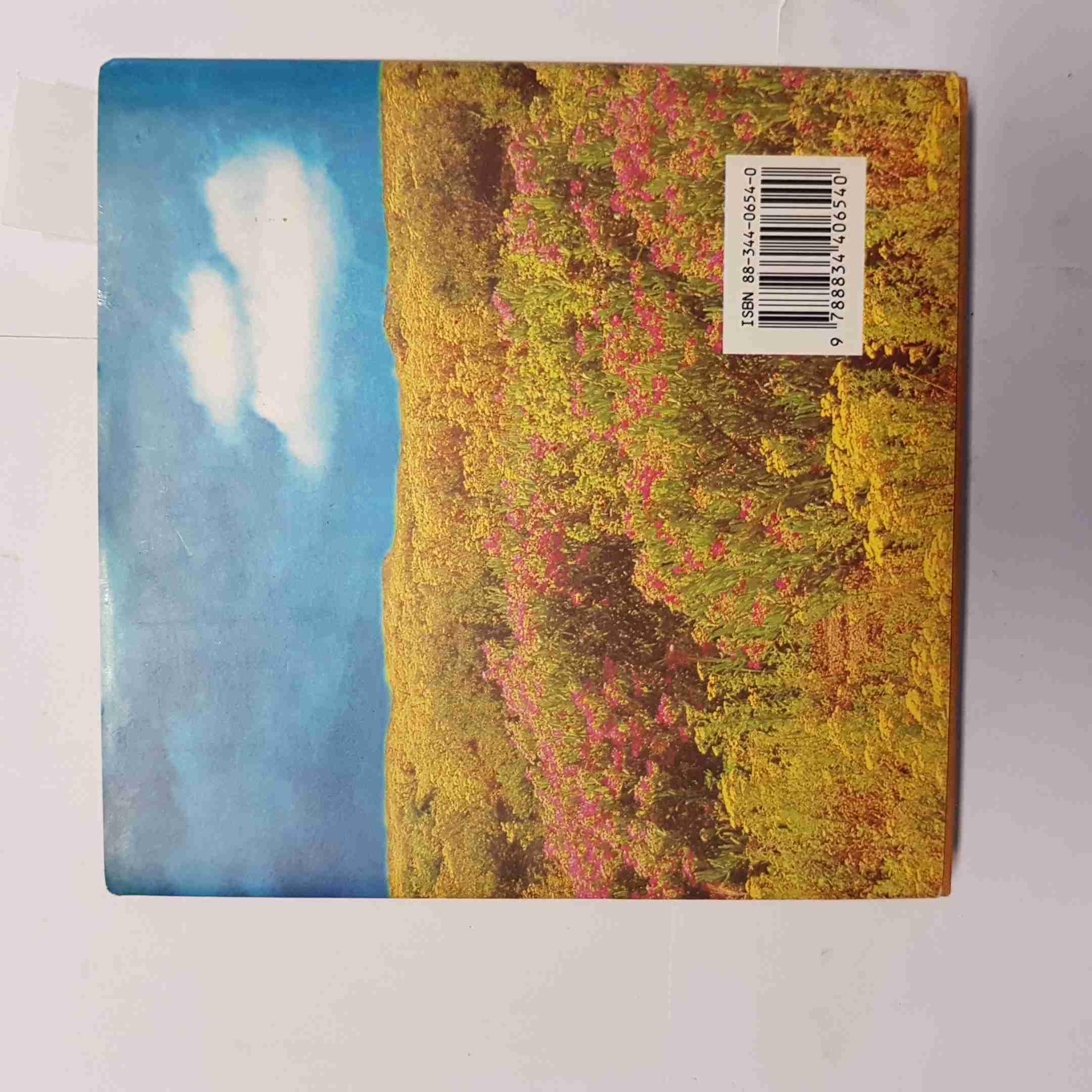 Il pensiero positivo