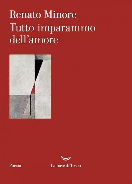Tutto imparammo dell'amore - Renato Minore - ebook