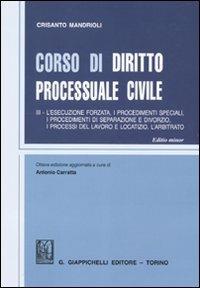  Corso di diritto processuale civile. Ediz. minore -  Crisanto Mandrioli - copertina