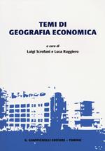 Temi di geografia economica