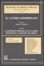 Il lavoro subordinato. Vol. 3: Il rapporto individuale di lavoro: estinzione e garanzie dei diritti.