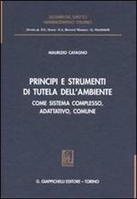 Principi e strumenti di tutela dell'ambiente. Come sistema complesso, adattativo, comune