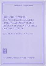 I principi generali del processo comune ed i loro adattamenti alle esperienze della giustizia costituzionale. Atti del Convegno (Siena, 8-9 giugno 2007)