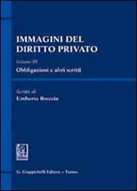 Immagini del diritto privato. Vol. 1: Teoria generale, fonti, diritti - Umberto Breccia - copertina