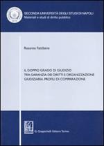 Il doppio grado di giudizio tra garanzia dei diritti e organizzazione giudiziaria. Profili di comparazione