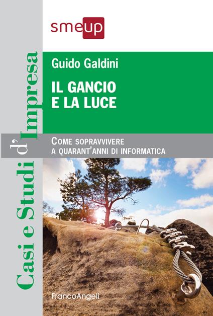 Il gancio e la luce. Come sopravvivere a quarant'anni di informatica - Guido Galdini - ebook