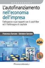 L'autofinanziamento nell'economia dell'impresa. Fattispecie e suoi rapporti con il cash flow ed il fabbisogno di capitale