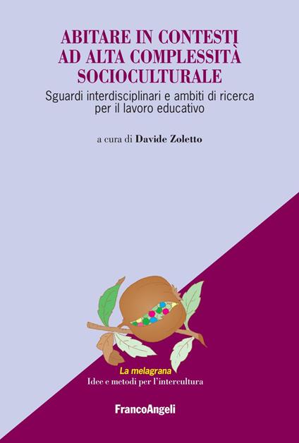 Abitare in contesti ad alta complessità socioculturale. Sguardi interdisciplinari e ambiti di ricerca per il lavoro educativo - Davide Zoletto - ebook