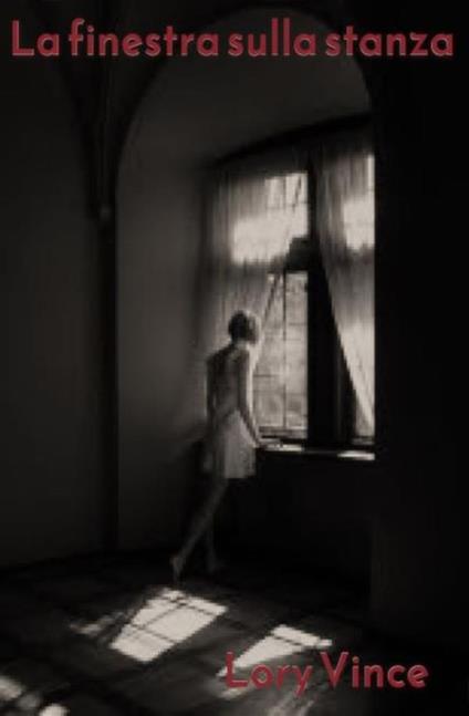 La finestra sulla stanza - Lory Vince - ebook