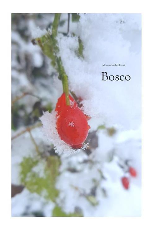 Bosco - Alessandro Molinari - ebook