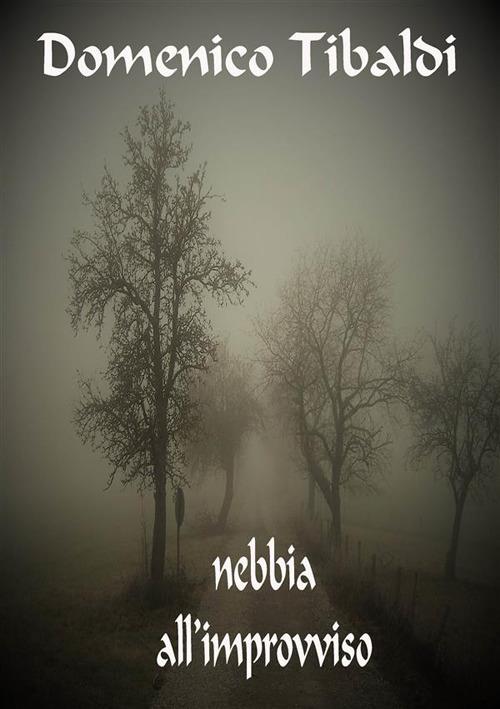 Nebbia all'improvviso - Domenico Tibaldi - ebook