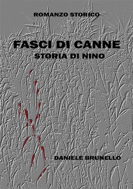 Fasci di canne. Storia di Nino - Daniele Brunello - ebook