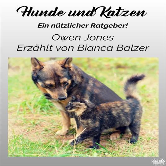 Hunde Und Katzen