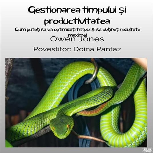 Gestionarea Timpului ?i Productivitatea