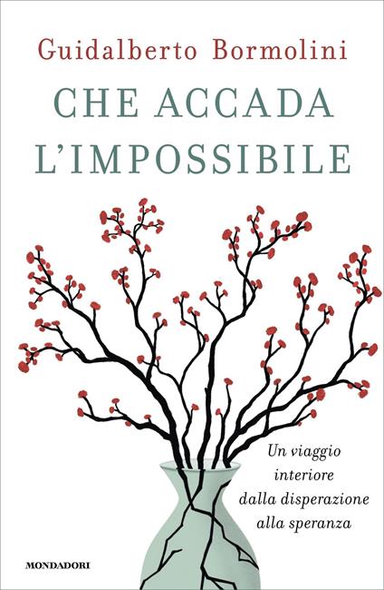 Che accada l'impossibile. Un viaggio interiore dalla disperazione alla speranza - Guidalberto Bormolini - ebook