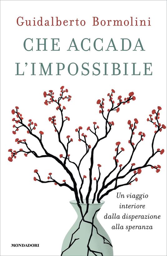 Che accada l'impossibile. Un viaggio interiore dalla disperazione alla speranza - Guidalberto Bormolini - ebook