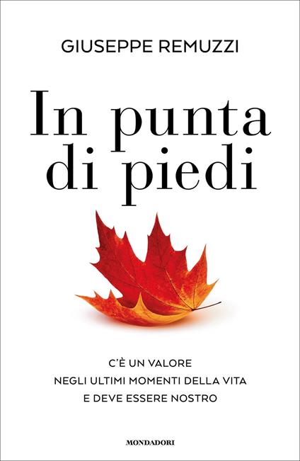 In punta di piedi - Giuseppe Remuzzi - ebook