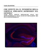 Che effetti ha la Cortical Spreading Depression sul genoma? Studi degli effetti molecolari sulle DNA metiltrasferasi e sullo stato di metilazione del DNA in sistemi modello