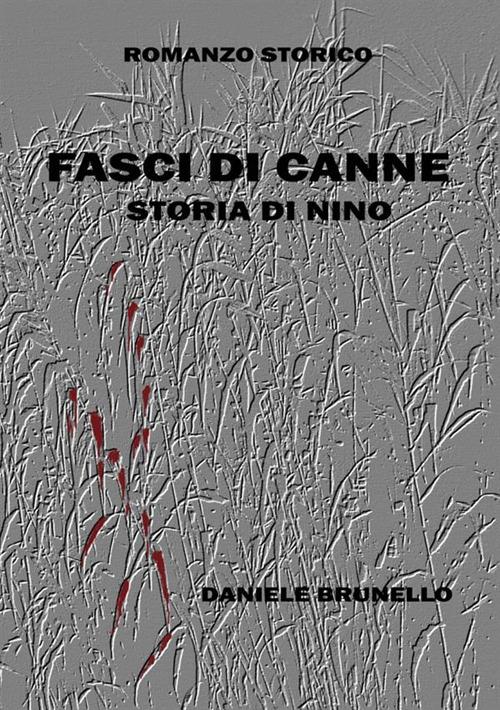 Fasci di canne. Storia di Nino - Daniele Brunello - copertina