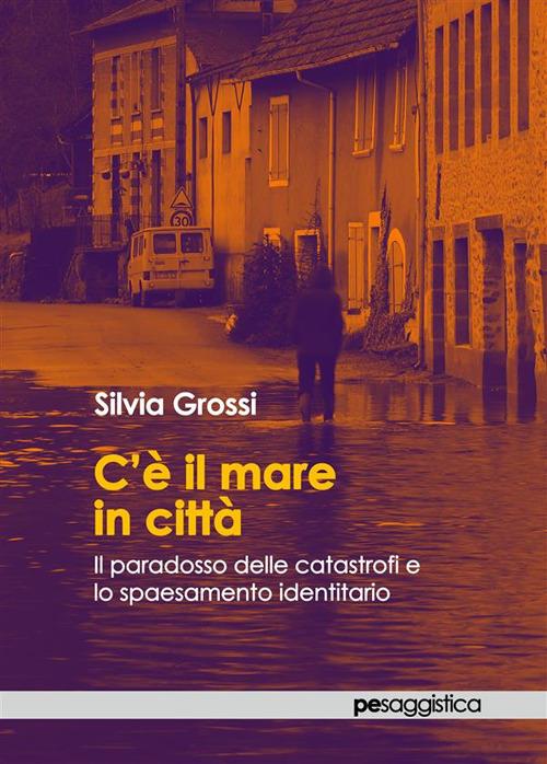 C'è il mare in città. Il paradosso delle catastrofi e lo spaesamento identitario - Silvia Grossi - ebook