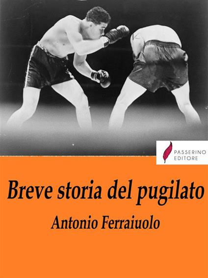 Breve storia del pugilato - Antonio Ferraiuolo - ebook