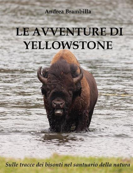 Le avventure di Yellowstone. Sulle tracce dei bisonti nel Santuario della Natura - Andrea Brambilla - ebook