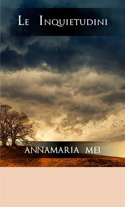 Le inquietudini - Annamaria Mei - copertina