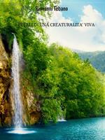 Petali di una creaturalità viva